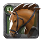 Journeyman's Riding Horse
