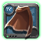 Adept's Cape