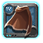 Adept's Cape